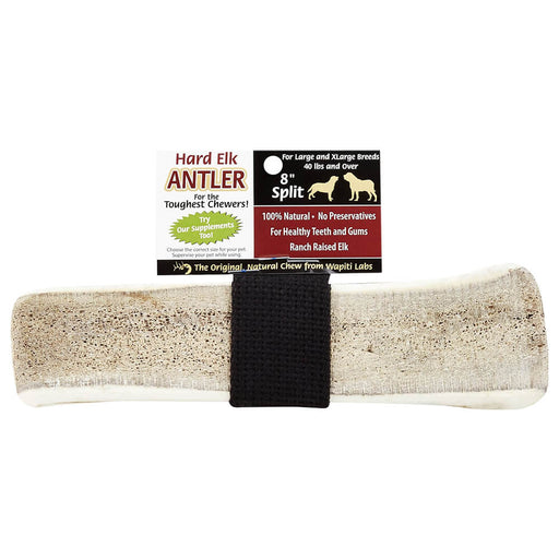 Wapiti Labs Elk Antler Dog Chews, 8", Split - Natural8"