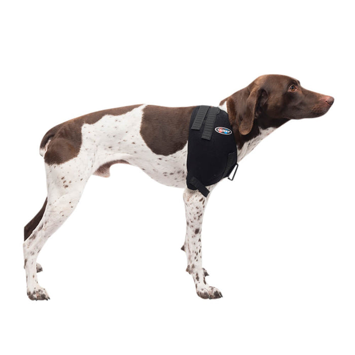 Caldera Pet Therapy Shoulder Wrap with Therapy Gel - Medium