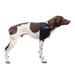 Caldera Pet Therapy Shoulder Wrap with Therapy Gel - Medium