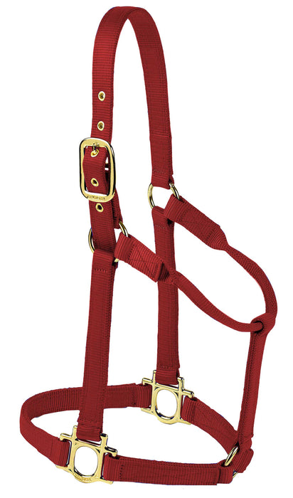 Valhoma Premium Nylon Halter - BurgundyLarge