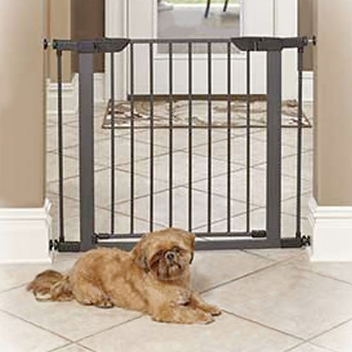 Steel Pet Gate, Graphite, 39" - 