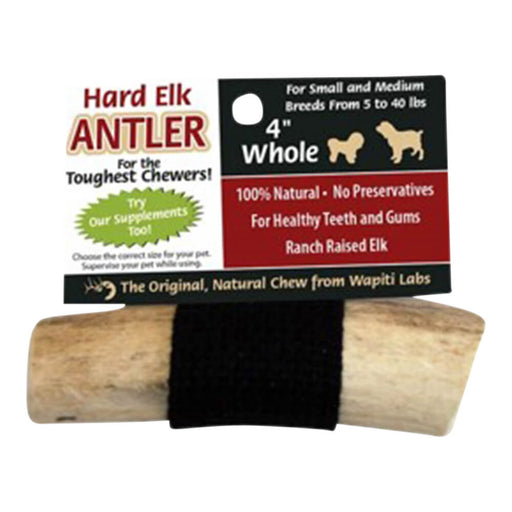 Wapiti Labs Elk Antler Dog Chews, 4", Whole - Natural4"