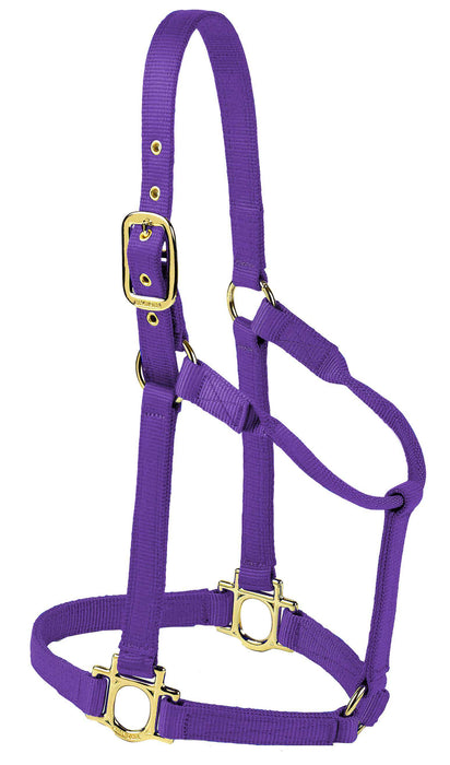 Valhoma Premium Nylon Halter - PurpleMedium