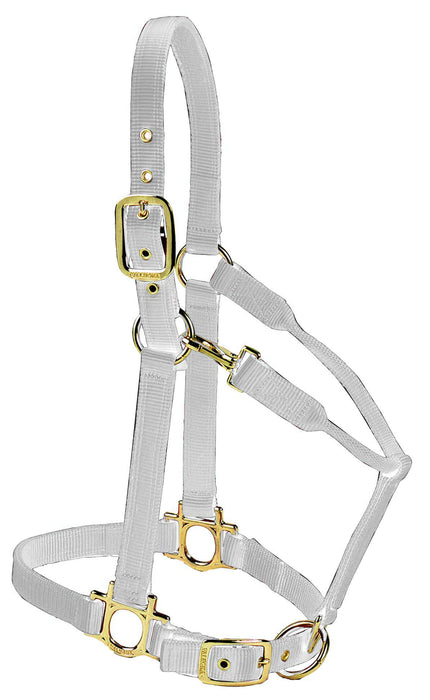 Valhoma Premium Adjustable Nylon Halter - SilverSmall