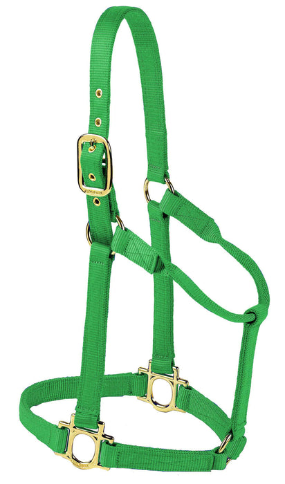 Valhoma Premium Nylon Halter - GreenLarge