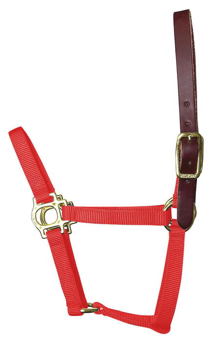 Valhoma Foal & Yearling Premium Breakaway Nylon Halter with Leather Crown - Red Yearling Red