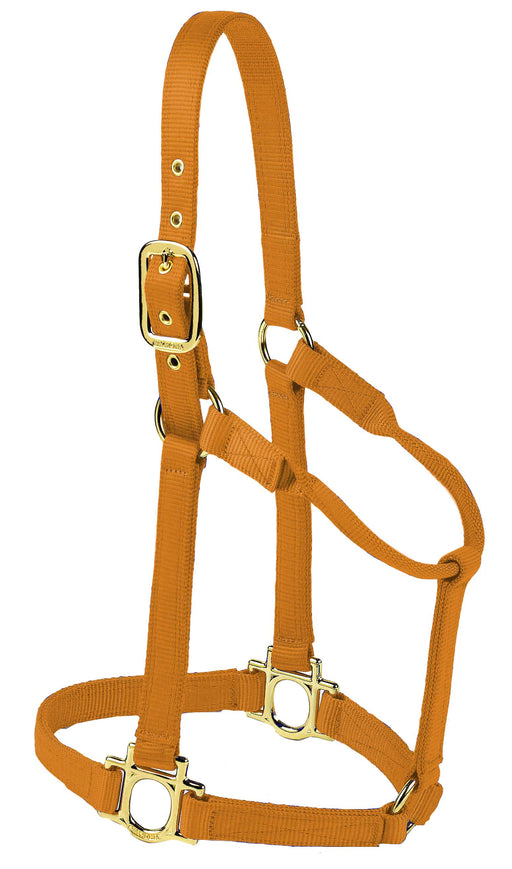 Valhoma Premium Nylon Halter - CopperLarge