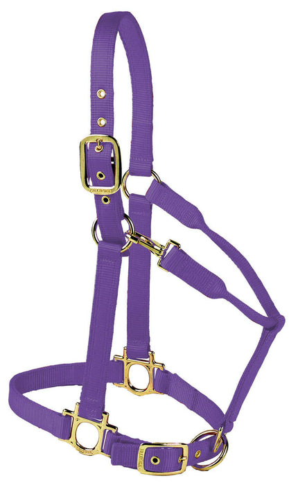 Valhoma Premium Adjustable Nylon Halter - PurpleMedium