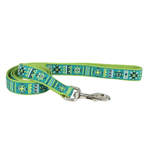 Ribbon Dog Leash - Lime Southwest Stars  