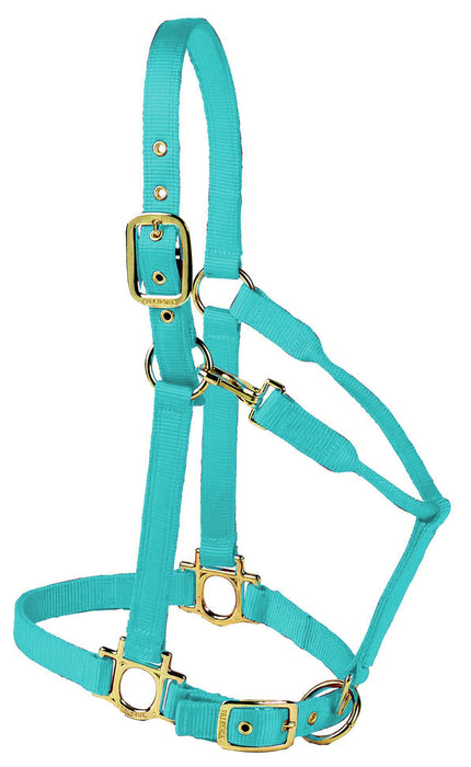 Valhoma Premium Adjustable Nylon Halter - TurquoiseSmall