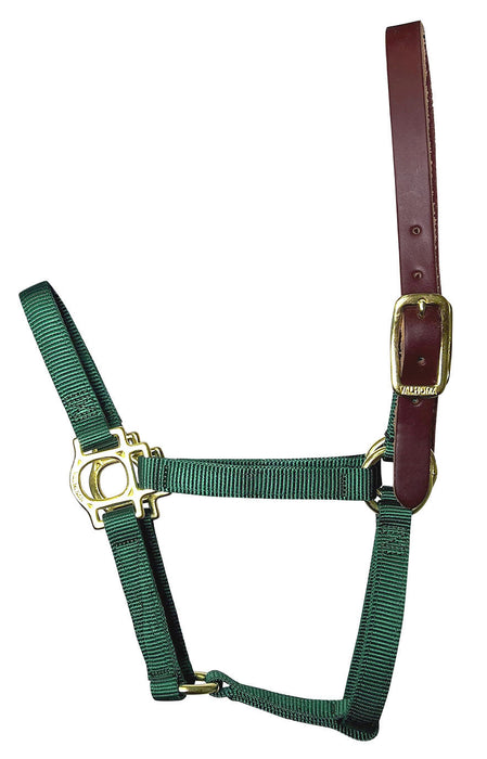 Valhoma Foal & Yearling Premium Breakaway Nylon Halter with Leather Crown - Green Yearling Green