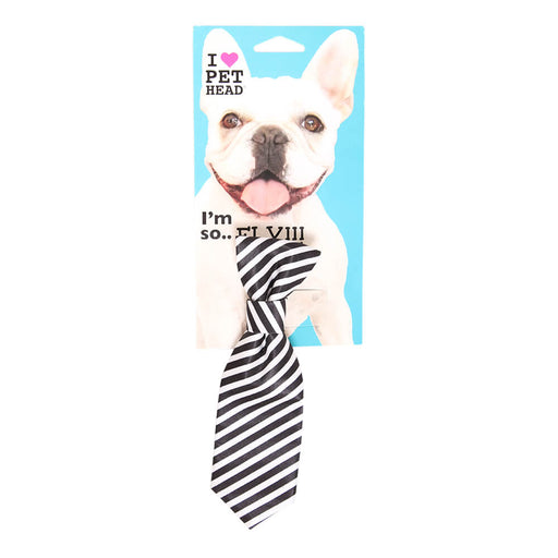 Pet Head I'm So Fly Black & White Stripe Tie - Black