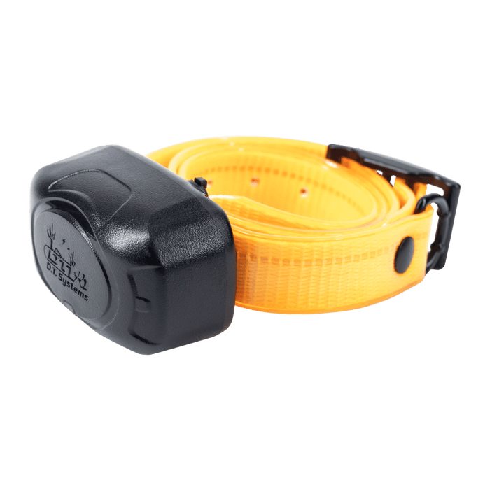 D.O.G DIrector 700, Add-On Collar - Orange  