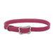 Sunburst Dog Collar with Bone Buckle - Pink Flamingo Small - 3/8" x 12" 