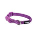 Li'l Pals Adjustable Dog Collar with Glitter Overlay - Orchid Sparkles Petite X-Small - 3/8" x 6"-8" 