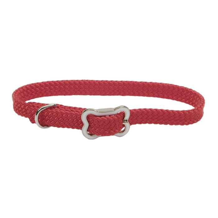 Sunburst Dog Collar with Bone Buckle - Red Small - 3/8" x 12" 