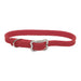 Sunburst Dog Collar with Bone Buckle - Red Small - 3/8" x 12" 