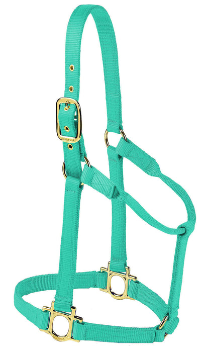 Valhoma Premium Nylon Halter - TurquoiseLarge