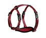 alcott Adventure Harness - Red Extra Small 