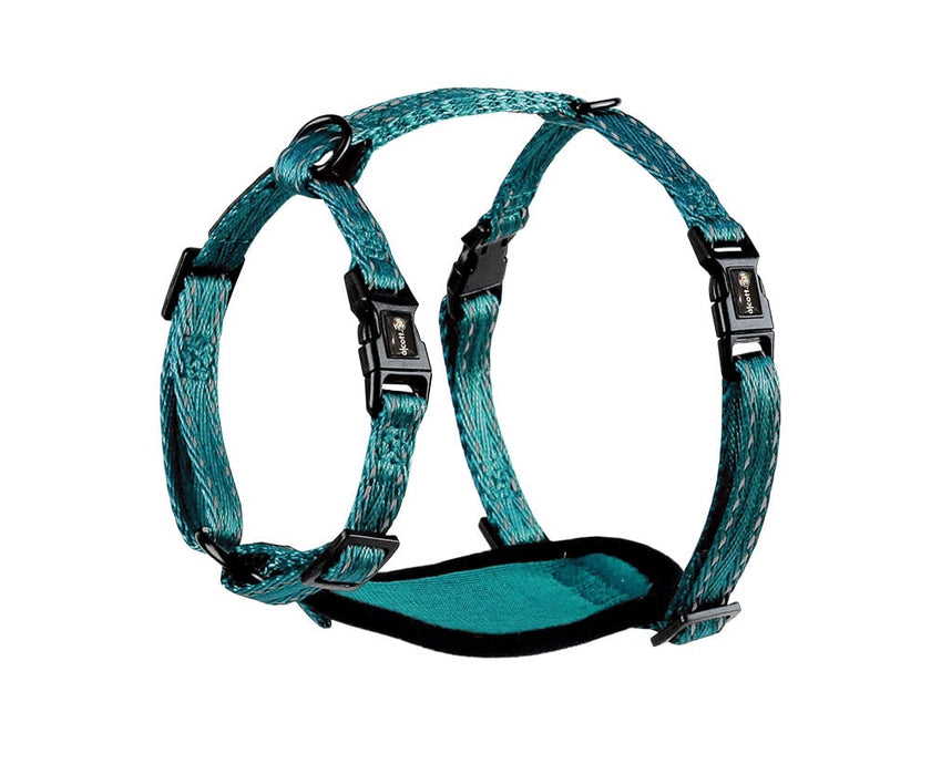 alcott Adventure Harness - Blue Extra Small 