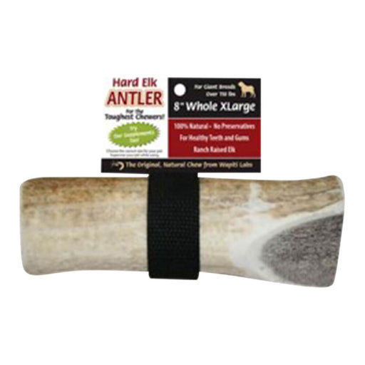 Wapiti Labs Elk Antler Dog Chews, 8", XL Whole - Natural8"