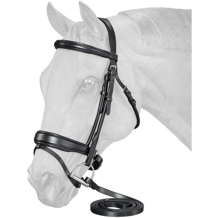 Equitare Cadence Dressage Bridle - Black  