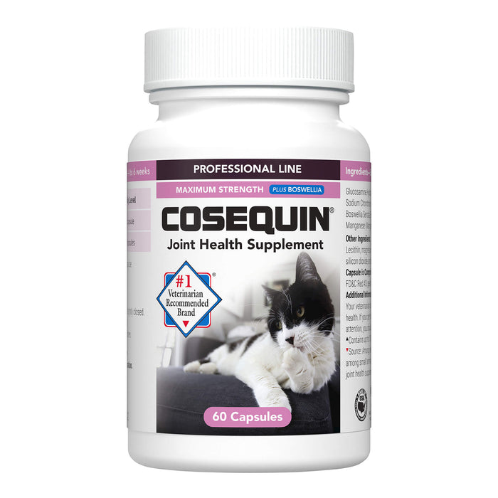 Cosequin for Cats  60 Count Capsule  Professional - Single Pack