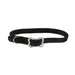 Sunburst Dog Collar with Bone Buckle - Black Small - 3/8" x 12" 