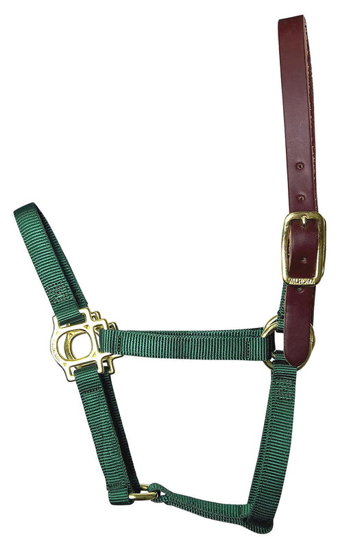 Valhoma Foal & Yearling Premium Breakaway Nylon Halter with Leather Crown - Green Foal Green