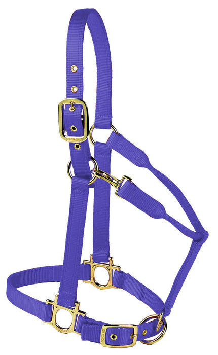 Valhoma Premium Adjustable Nylon Halter - BlueMedium