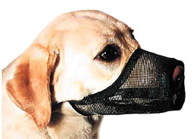 DUPLICATE/PRICE Best Fit Adjustable Mesh Dog Muzzle - Size 4