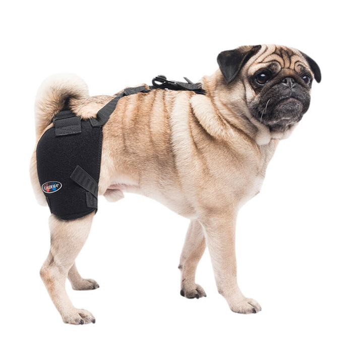 Caldera Pet Therapy Hip Wrap with Therapy Gel - Small