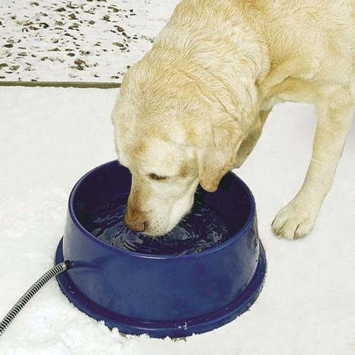 K&H Thermal-Bowl Heated Water Bowl - 96 oz Heated Water Bowl, Blue  