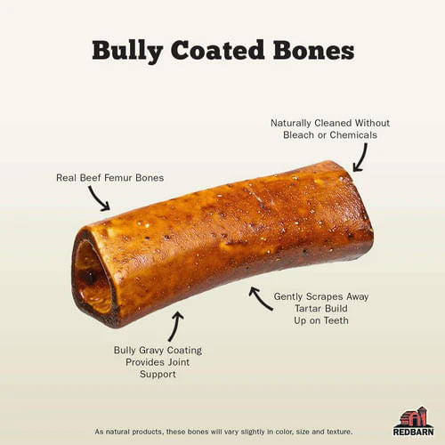 Redbarn Bully Coated Large Bone - Large Beef 