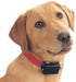 PetSafe Bark Control Collar -   