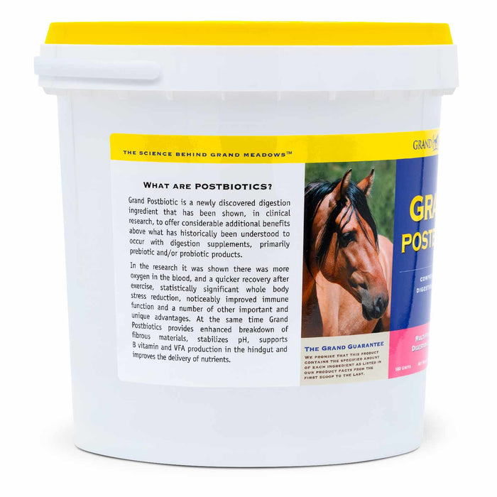 Grand Postbiotic Digestion Supplement for Horses