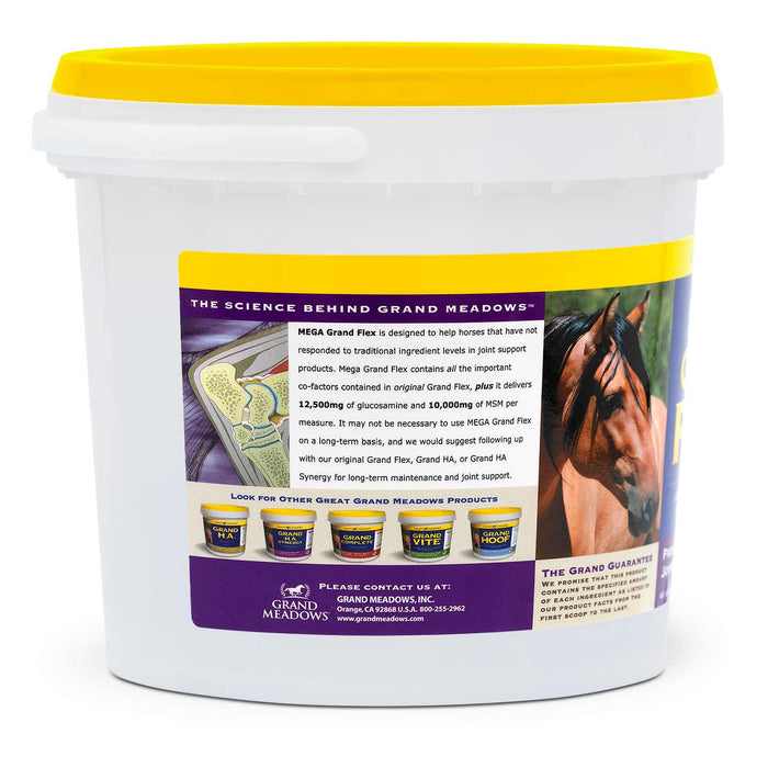 Mega Grand Flex Joint Supplement for Horses