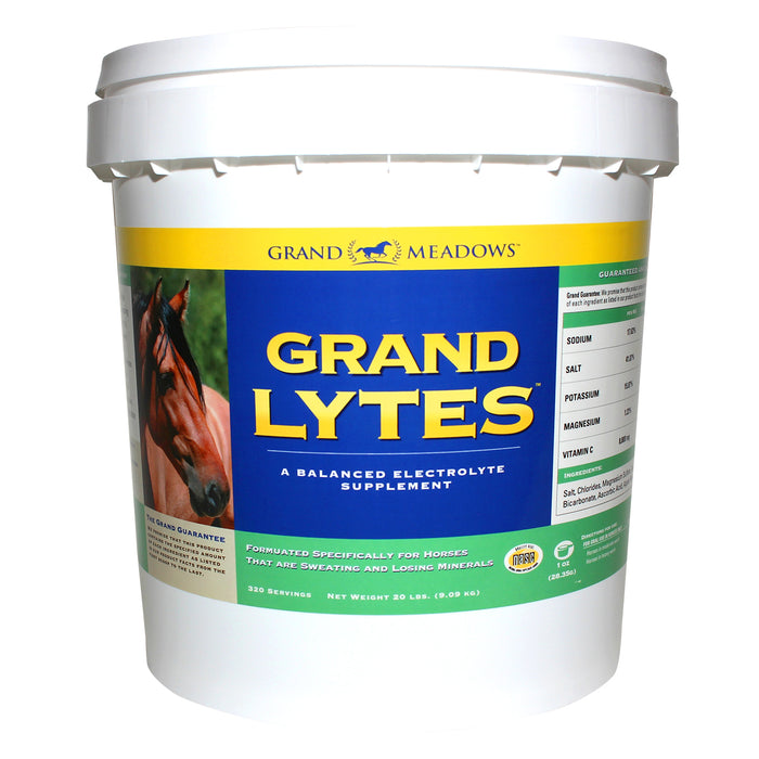 Grand Lytes Electrolyte Supplement for Horses Size 20 lb