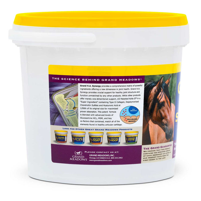 Grand H.A. Synergy Advanced Joint Supplement for Horses & Dogs