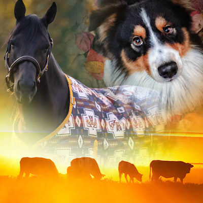 Collage of a horse, dog, and cows in a field for the fall Jeffers catalogs.