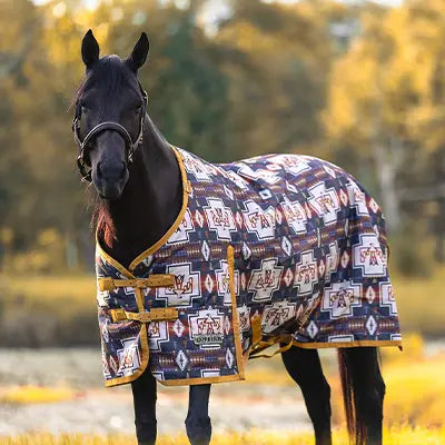 Horse wearing a Jeffers Expression Thunderbird Blanket in a fall outdoor setting with trees in the background
