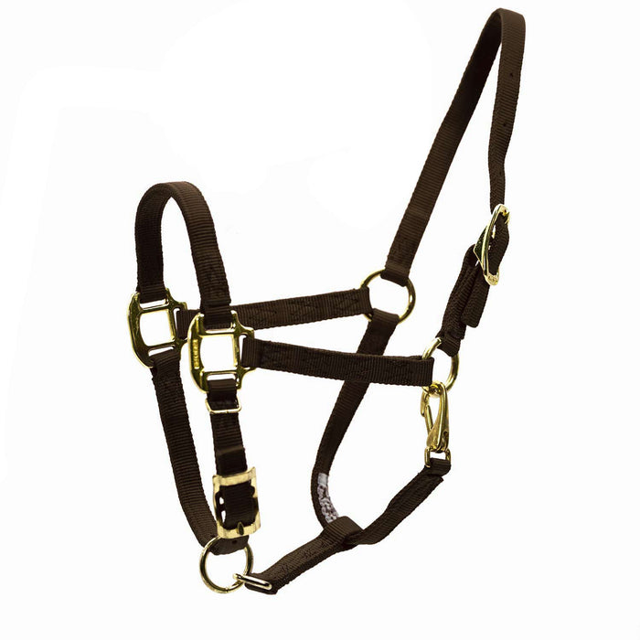 3/4" Adjustable Nylon Horse Chin Halter with Throat Snap with Brass Hardware - MBSS - Brown - Weanling - 1 - 5