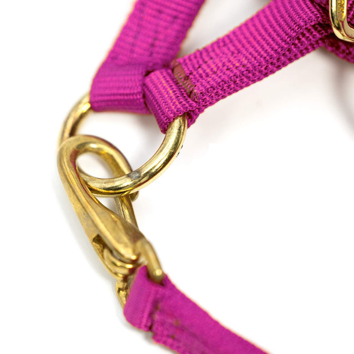 3/4" Adjustable Nylon Horse Chin Halter with Throat Snap with Brass Hardware - MBT1 - Pink - Weanling - 1 - 4