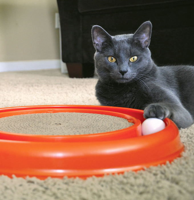 Turbo Cat Scratcher -   