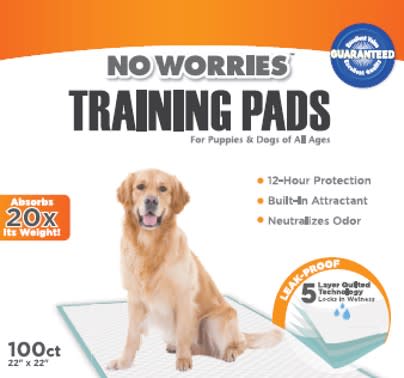 No Worries 12-Hour Dog Training Pads, 22"x22" (100 Count) - 22"x22"