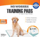 No Worries 12-Hour Dog Training Pads, 22"x22" (100 Count) - 22"x22"