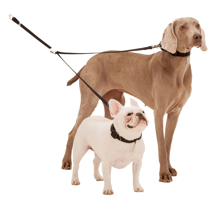 Double Dog Leash & Coupler - Double Dog Coupler, Black only  