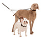 Double Dog Leash & Coupler - Double Dog Coupler, Black only  