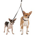 Double Dog Leash & Coupler - Double Dog Coupler, Black only  