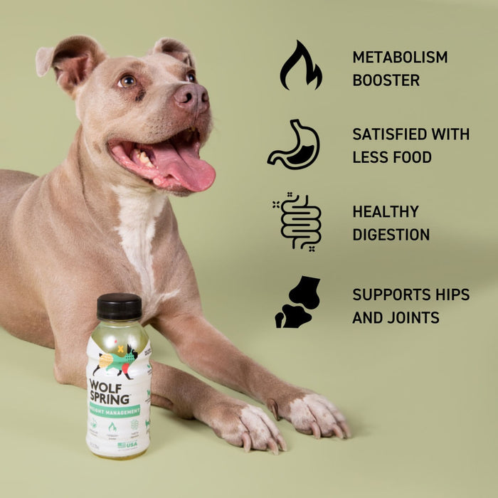 Weight Management Food Topper for Dogs - 10oz  